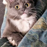 Photo of Sylvia
