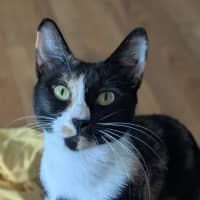 Photo of Dotti