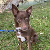Photo of Maggie