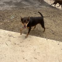Photo of Cora