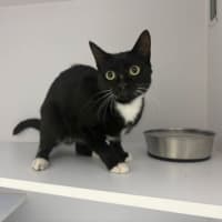 Photo of Poco