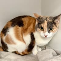 Photo of Princess