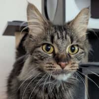Photo of Poppy
