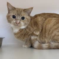 Photo of Lexi & Frank