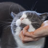 Photo of Fluffy And Mano