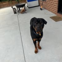 Photo of Zeus