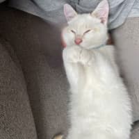 Photo of Doofus