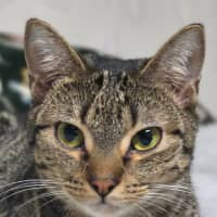 Photo of Poppy & Pepper