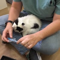 Photo of $100 Mama Z