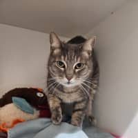 Photo of Jackie