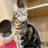 Photo of River And Tyra