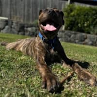 Photo of Benson 