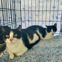 Photo of Meg And Amy