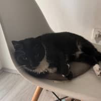 Photo of Moncie