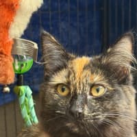 Photo of Lilith
