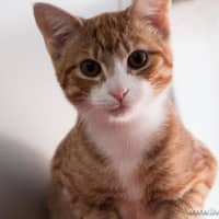 Photo of Diego Moriarty