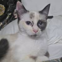 Photo of Dairy Queen