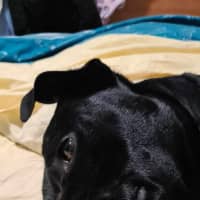 Photo of Max