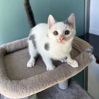 Photo of Marmu