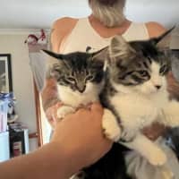 Photo of Bohdi & Lottie