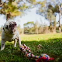 Photo of Bee O’cleary