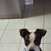 Photo of Jj