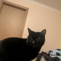 Photo of Ms Milo