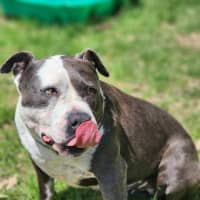 Photo of 🥊 Floyd 5607 🥊