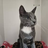 Photo of Ozias