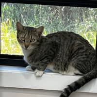 Photo of Arwen (9076)