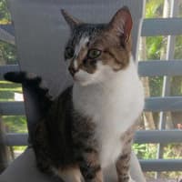 Photo of Max