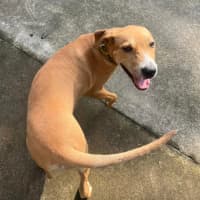 Photo of Spud
