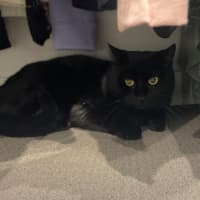 Photo of Jet