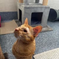 Photo of Bud