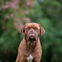 Photo of Harry