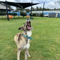 Photo of Turbo