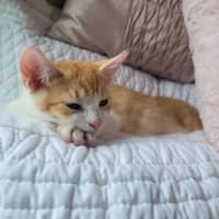 Photo of Baxter