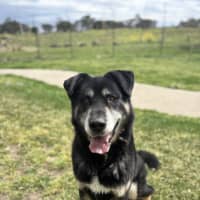 Photo of Zeus 