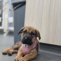 Photo of Jelly