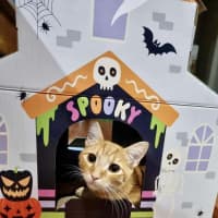 Photo of Howie