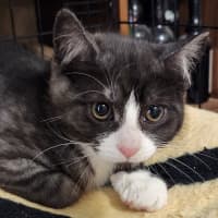 Photo of Princess