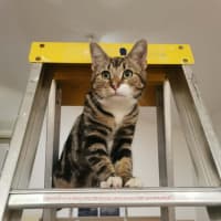 Photo of Little One