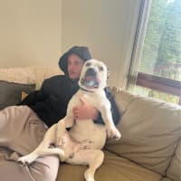 Photo of Turbo