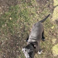 Photo of Rosco