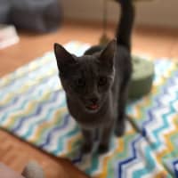 Photo of Rocket