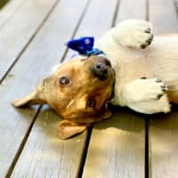 Photo of Kevin Arnold