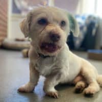 Photo of Chugga