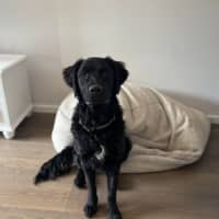 Photo of Kozzy