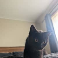 Photo of Nyx