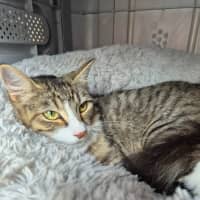 Photo of Bailey!  👑 